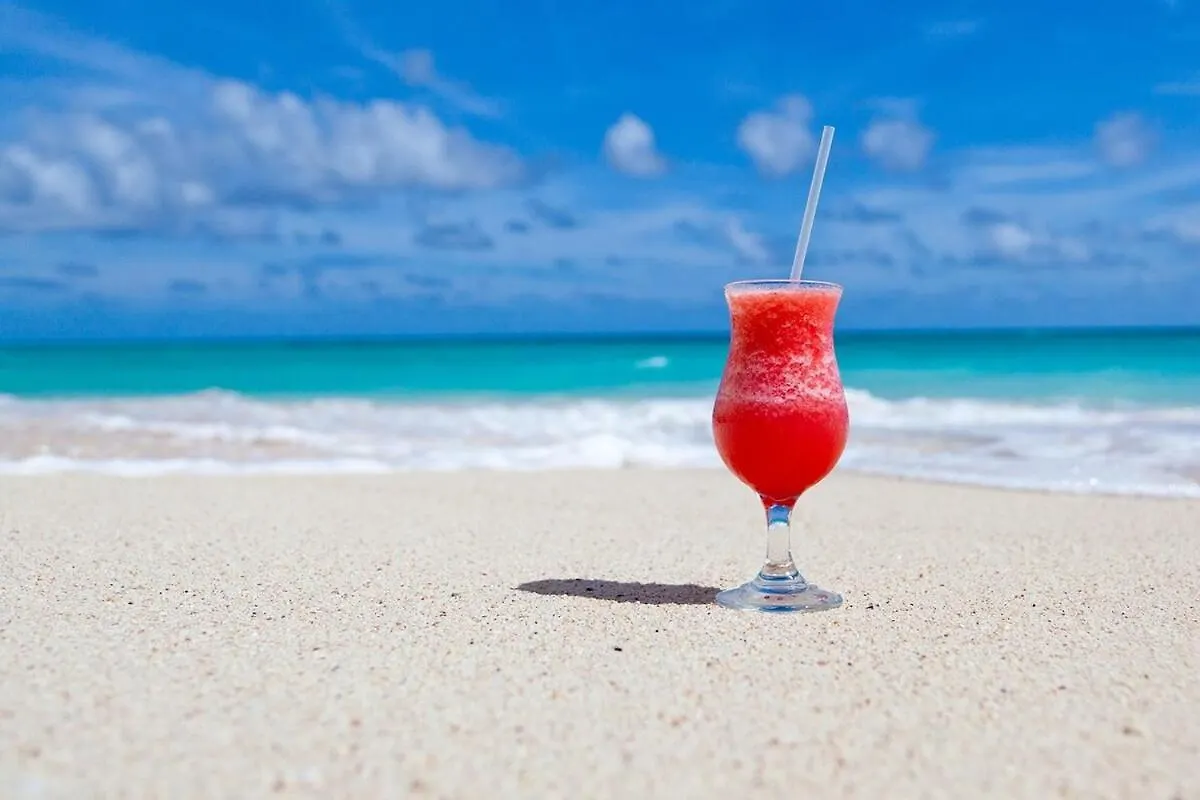 Luxury Penthouse With Panoramic Ocean View Apartman Punta Cana
